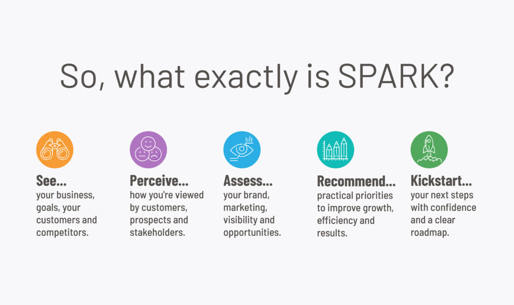 The five stages of the PHd SPARK process: See, Perceive, Assess, Recommend and Kickstart.